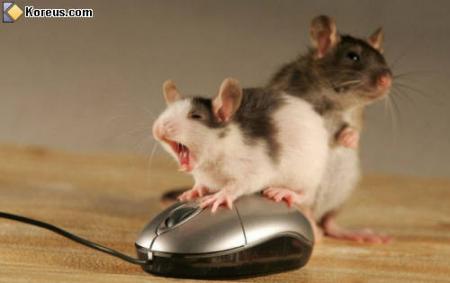 TOUCHE PA  A MA COPINE!!!