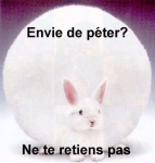 Le petit lapin