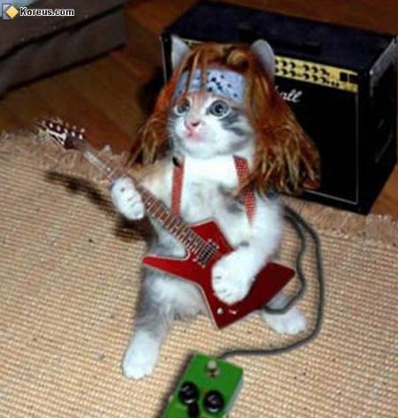 le chat de iron maiden
