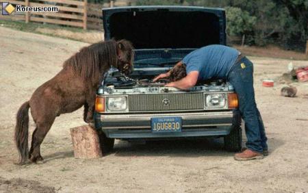 je croi que c'est le carburateur