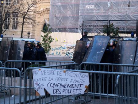 précosion gripe aviaire