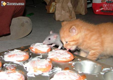 ... une question fatidique